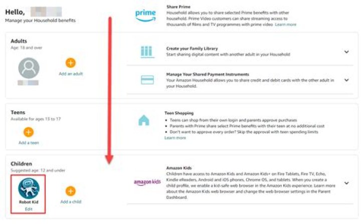Setting Up Amazon Prime Profiles for Kids?
